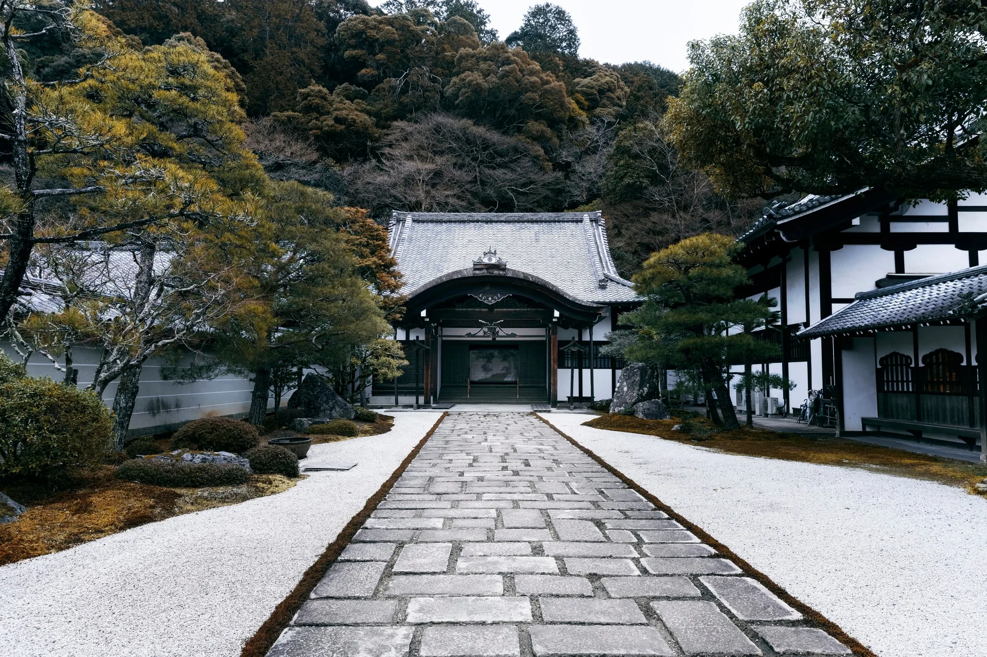 A stone lantern standing quietly among moss-covered ground at a Kyoto shrine