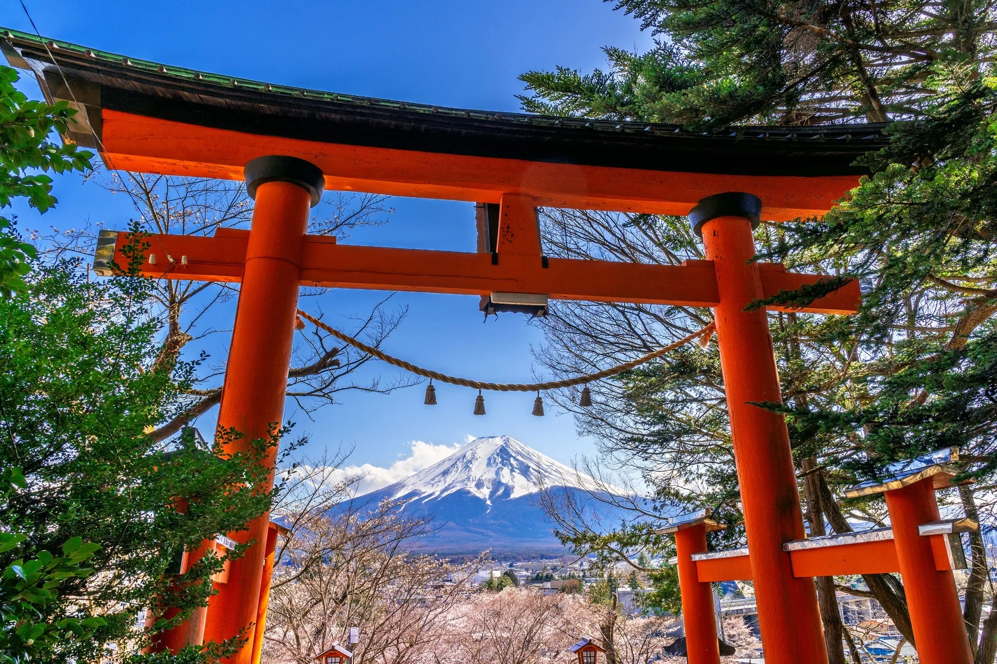 A traditional pilgrimage route linking sacred places across the Kyoto basin