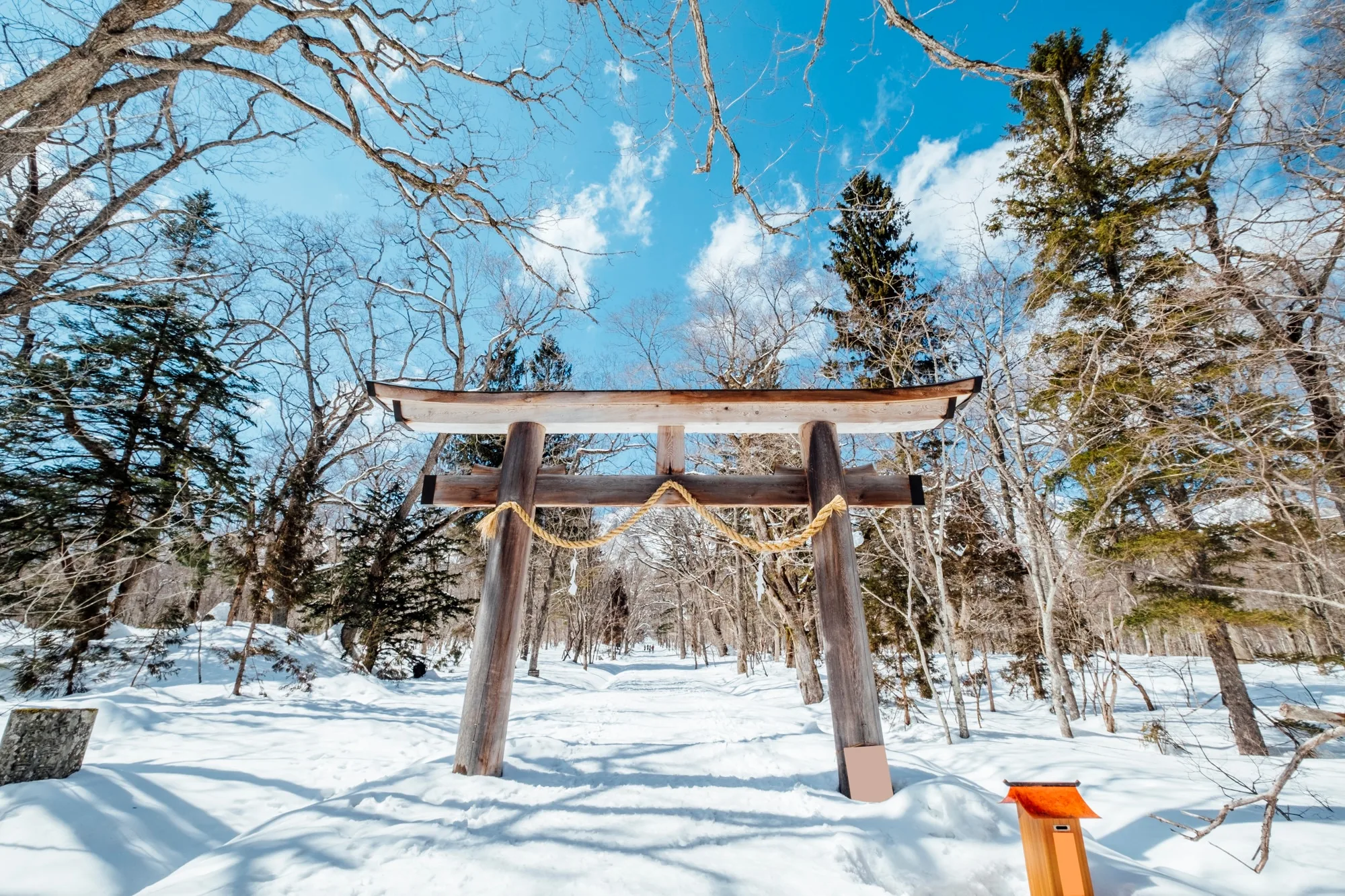 Shrine path guided walk